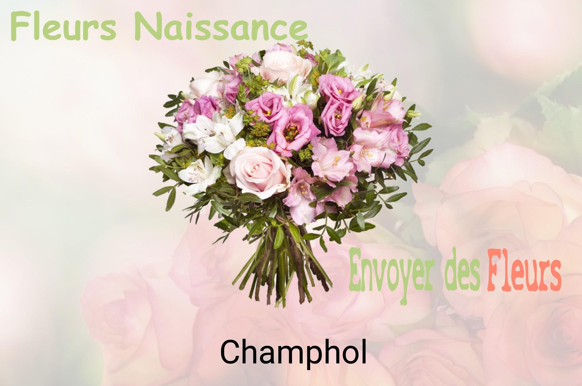 Bouquet de fleurs de naissance livré à Champhol