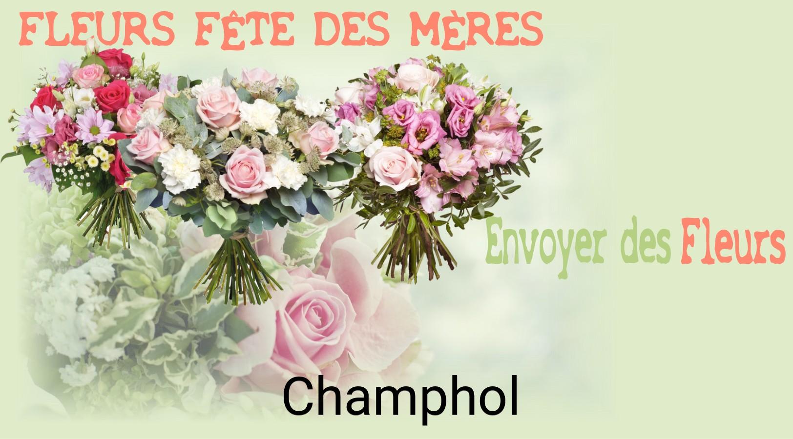 Bouquet de Fête des Mères livré à Champhol